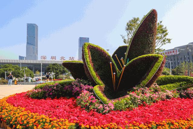 深圳中心公园足球场,深圳中心公园大草坪