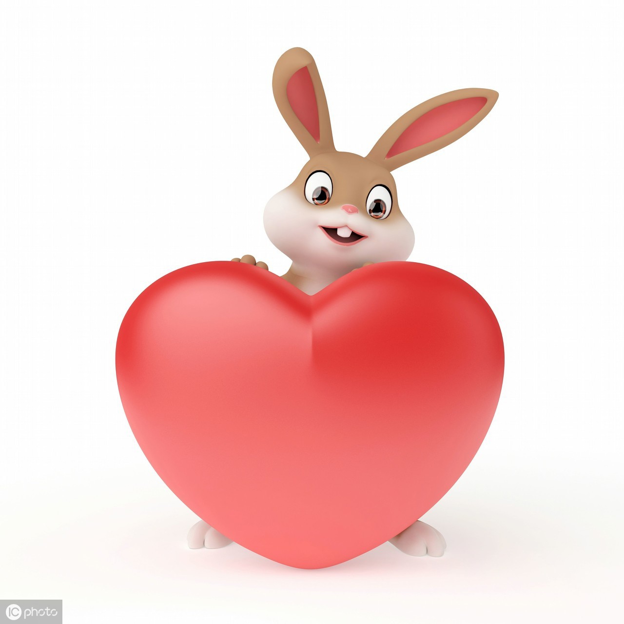 春季喂羊的正确方法,喂兔注意事项