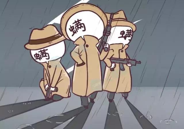 螨虫辟谣大全,你知道螨虫的危害吗涨知识