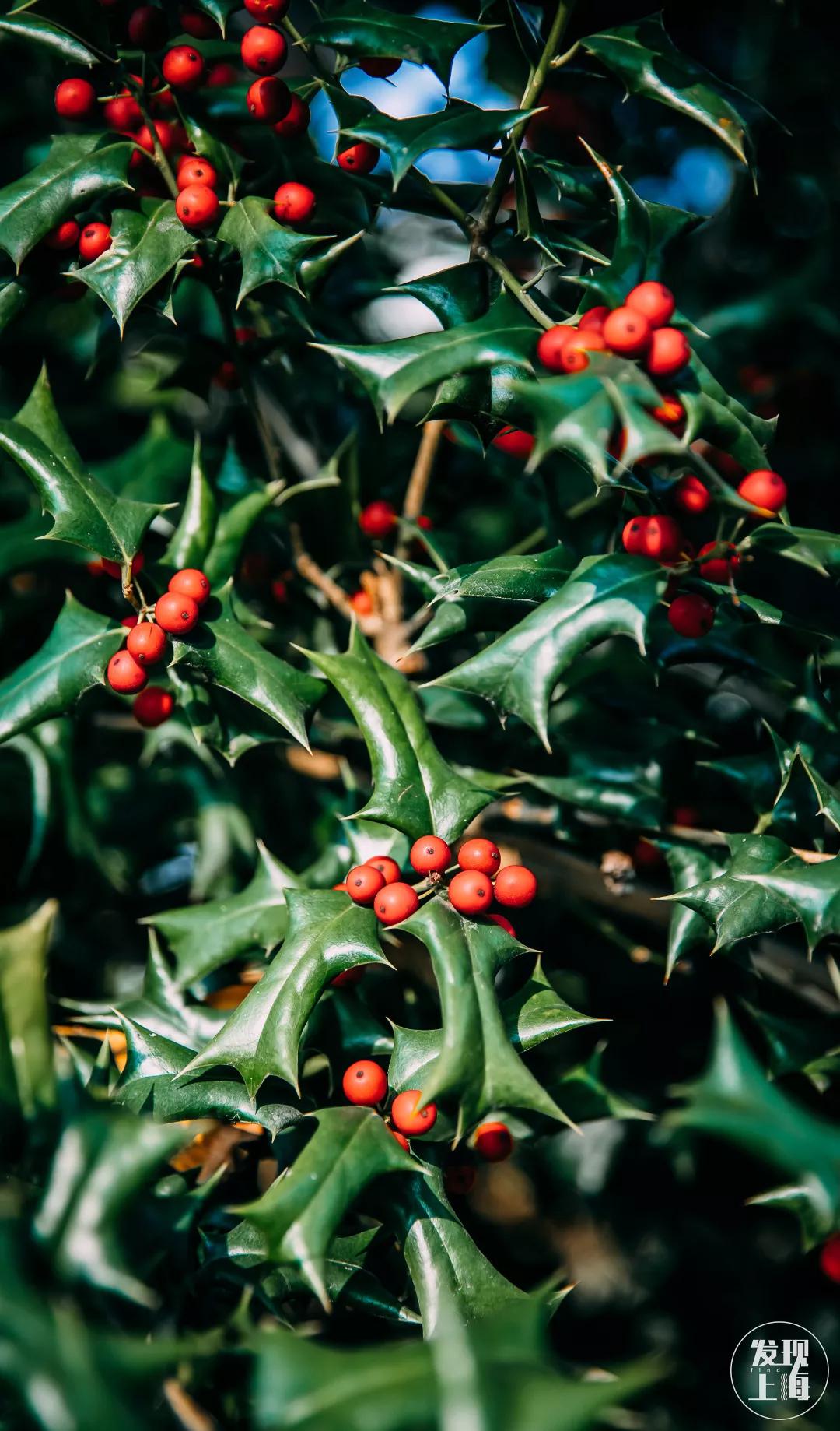 松江千年古镇,松江上海之源