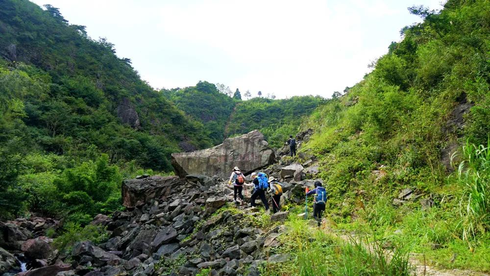 银杏古道自驾游攻略,江浙沪绝美古道苏州