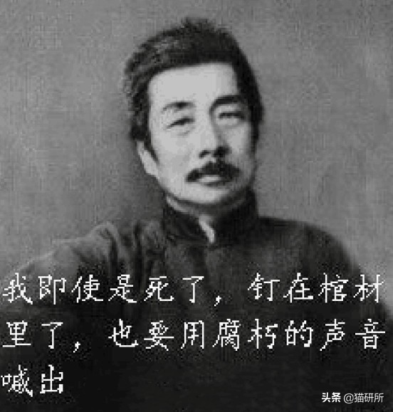 猫咪打疫苗跟狂犬疫苗一样吗,猫咪打疫苗针头往上还是往下