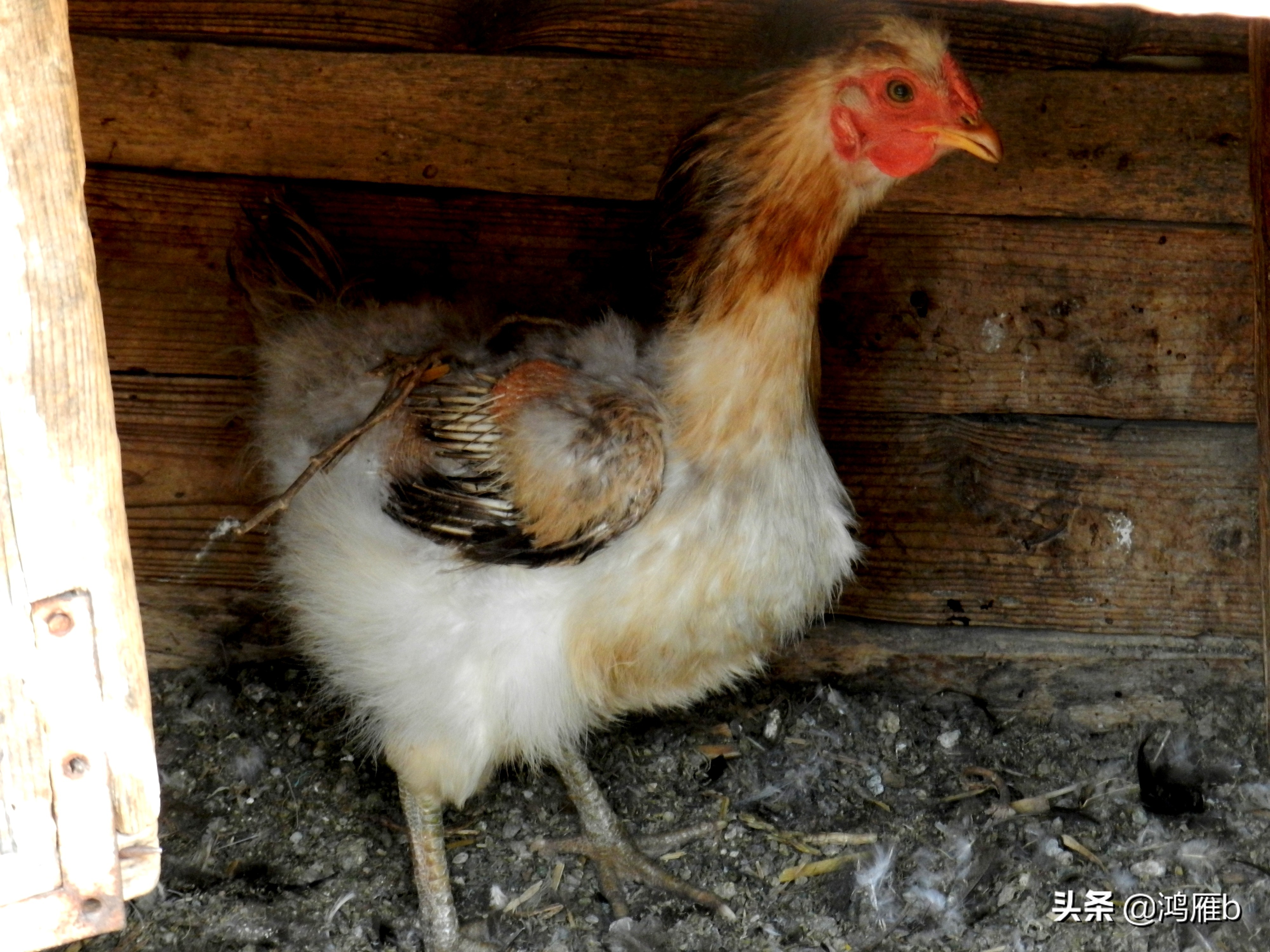 本溪小众秘境,本溪神秘山村