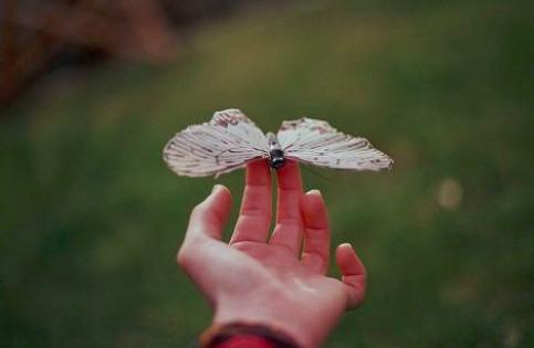 小学作文技巧总结十大要点怎么写,作文语录怎么写好