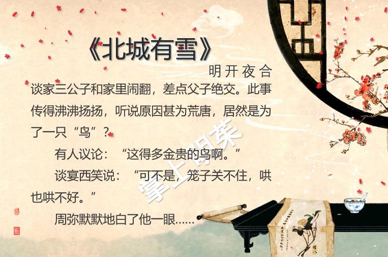 类似于长街北城有雪的小说,类似北城有雪长街的小说