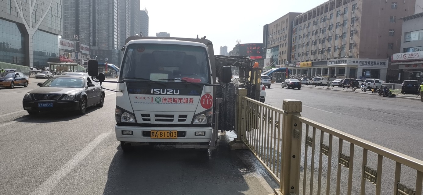 “城市黄玫瑰绽放新英姿”