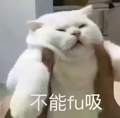 那些年留学生在海关被没收的东西,留学生被海关没收的东西