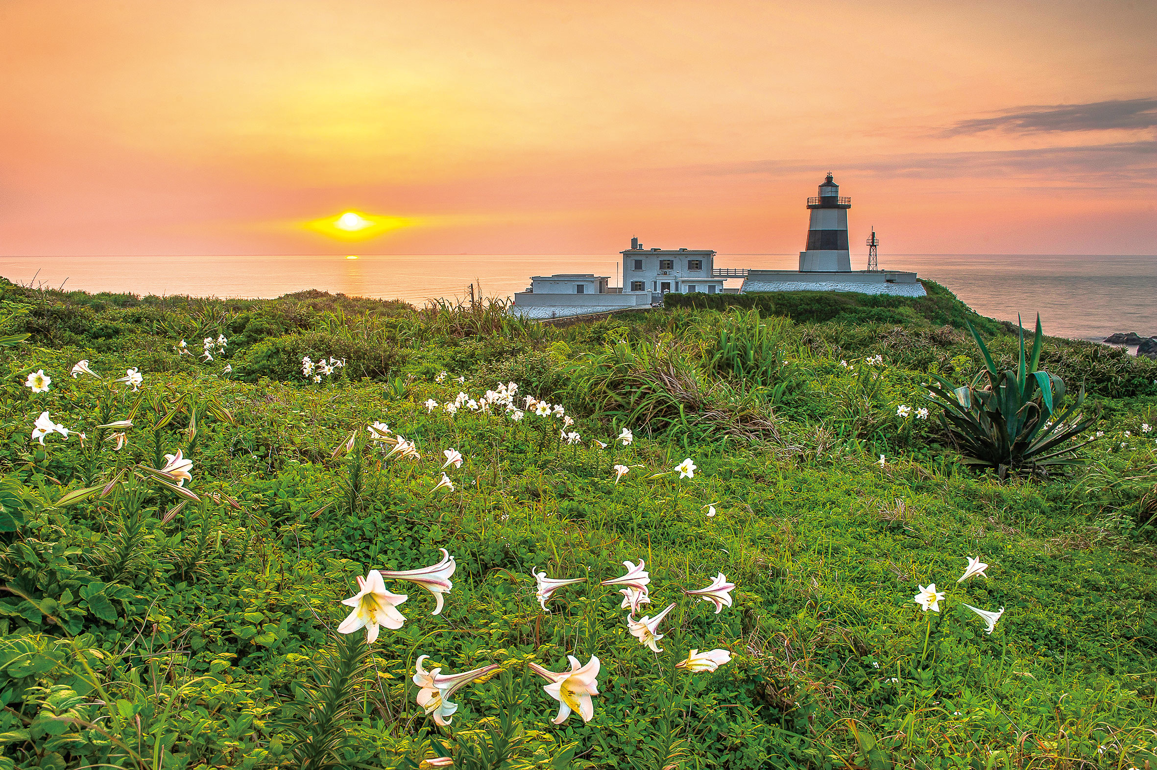 台湾海钓视频,台湾海钓