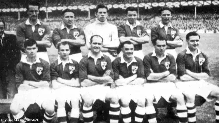 亨利手球助攻绝杀,南非世界杯预选赛亨利手球