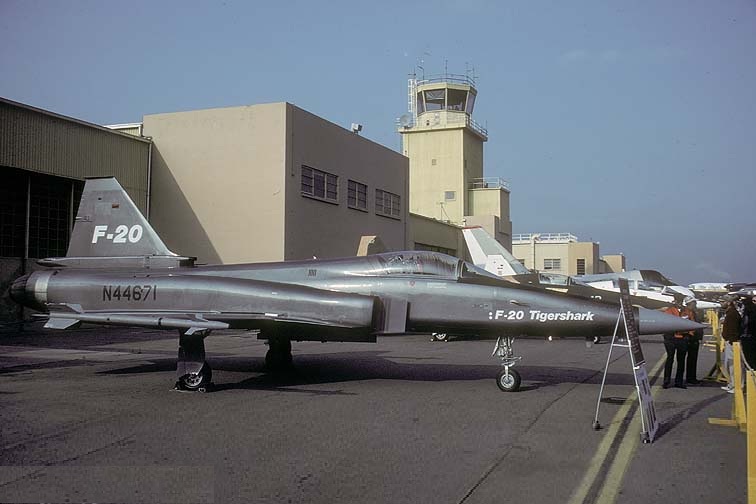 极富悲剧色彩的虎鲸,虎鲨悲剧