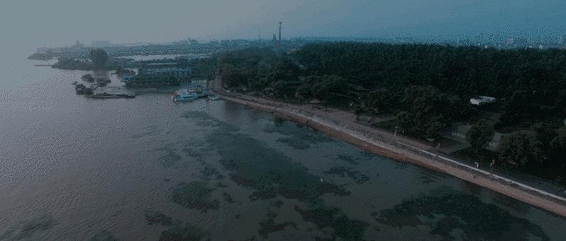 2020年武警抓捕纪实视频,90年代武警真实抓捕视频