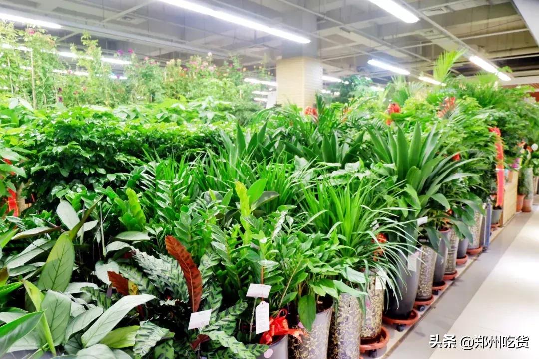 郑州万邦批发市场干货,最新最全郑州批发市场一览表