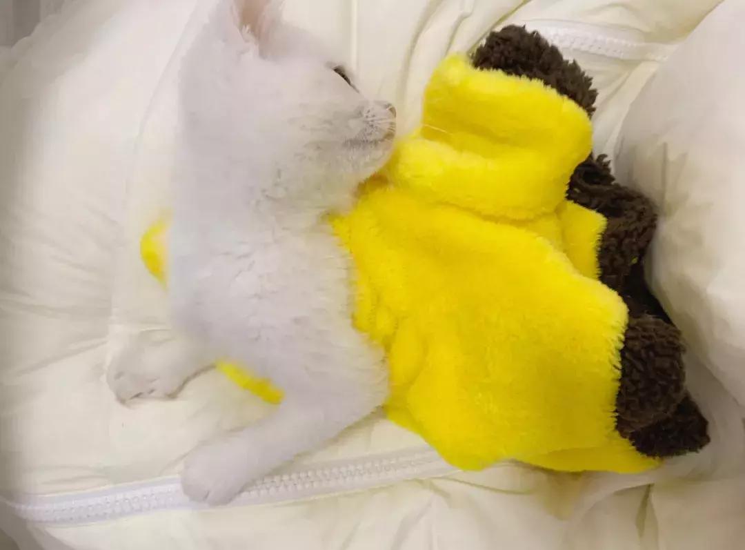 这年头钱难挣屎难吃话难听,钱难赚屎难吃电影台词