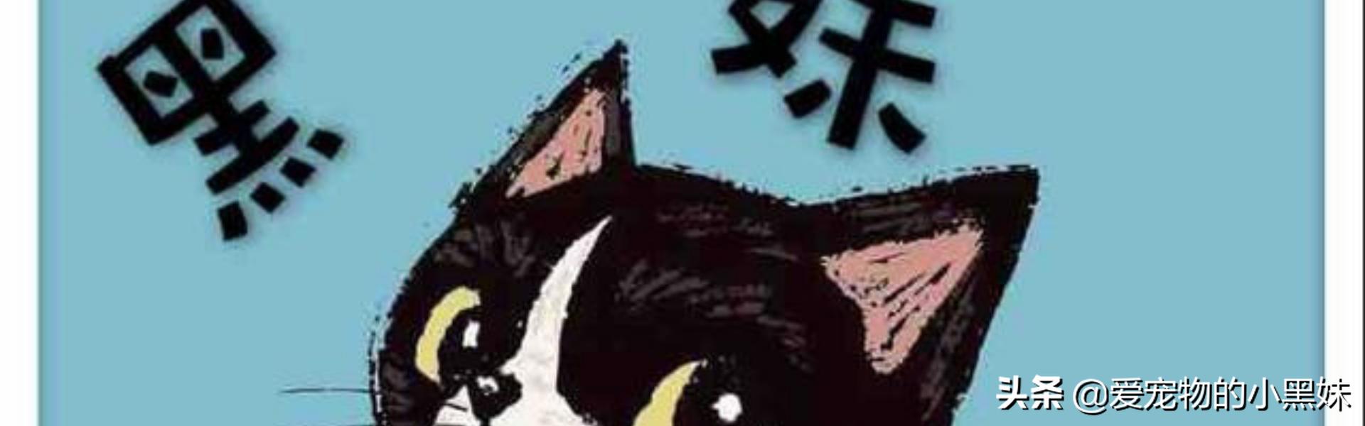 犬猫癫痫的治疗方法,猫咪癫痫医生会怎么救治