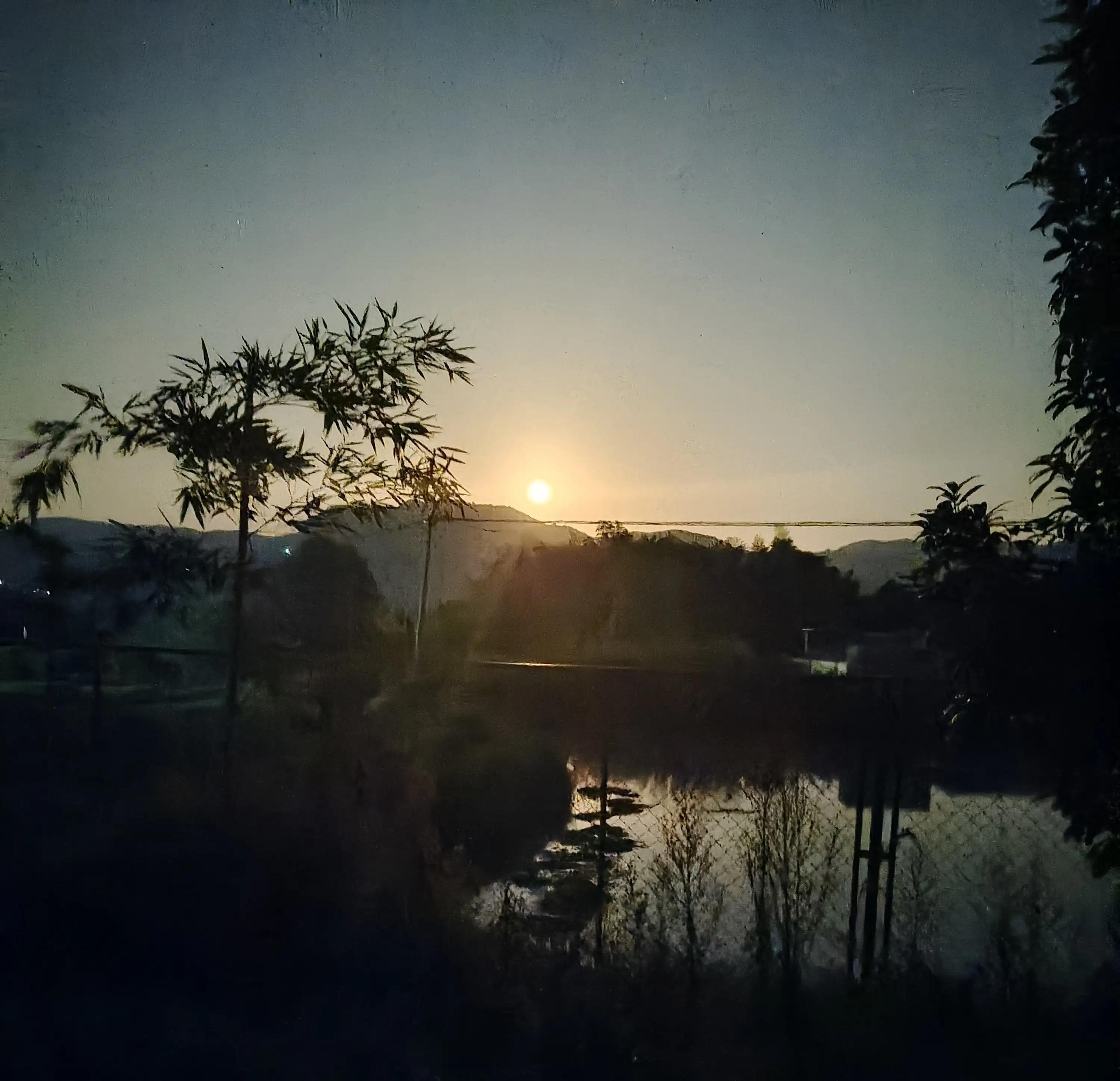 完美犯罪交通事故,完美交通事故