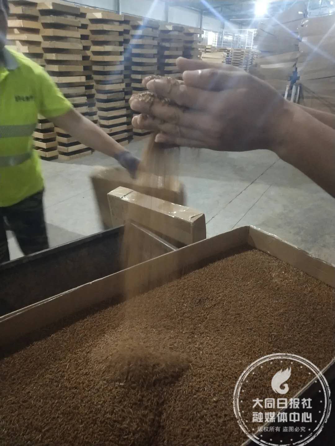 大同气温回暖情况,经济是不是在回暖