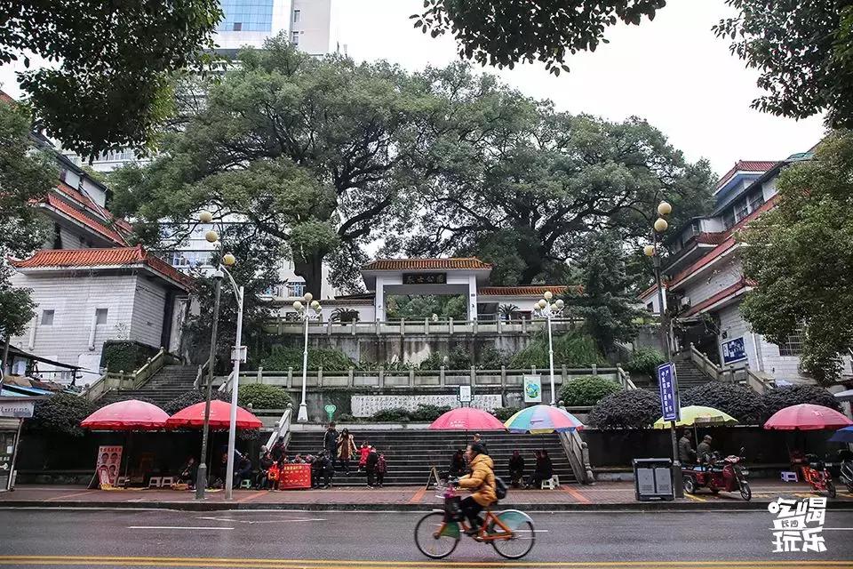 浏阳蒸菜腊鱼蒸豆豉,湖南特色浏阳蒸菜简单好吃又下饭