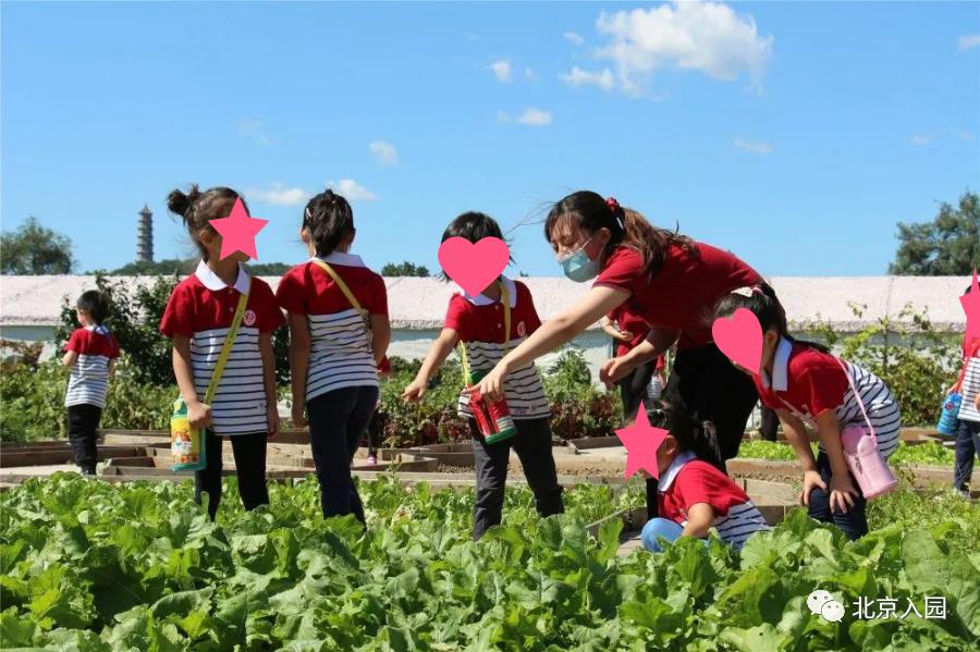 北京儿童室内动物园,占地7000平幼儿园
