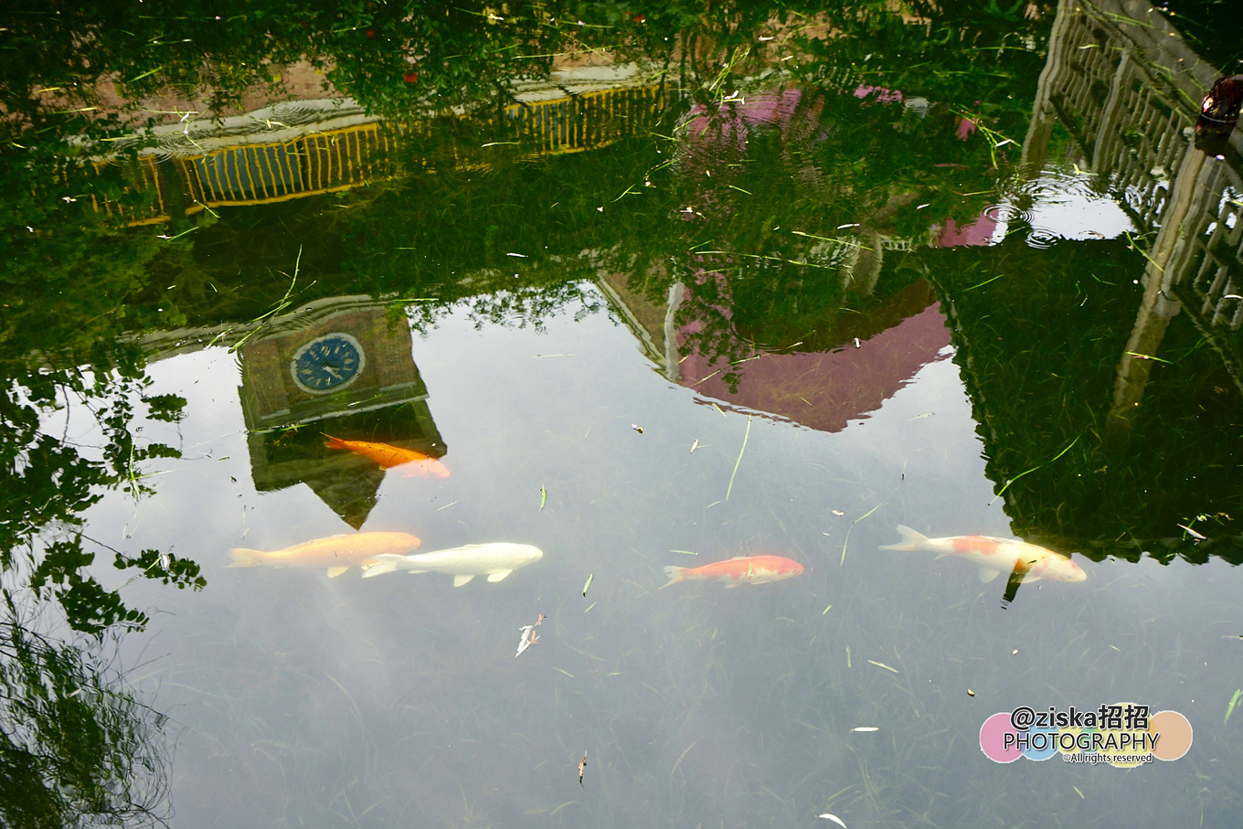 小伙探索神秘洞穴视频,小伙独自探索深山神秘古墓