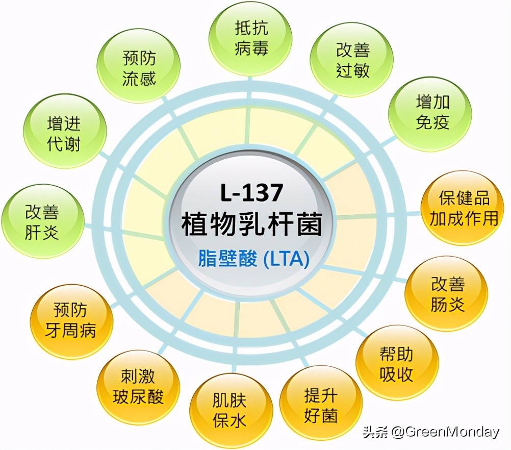 与气泡一起蹦迪的乳酸菌：L-137后生元