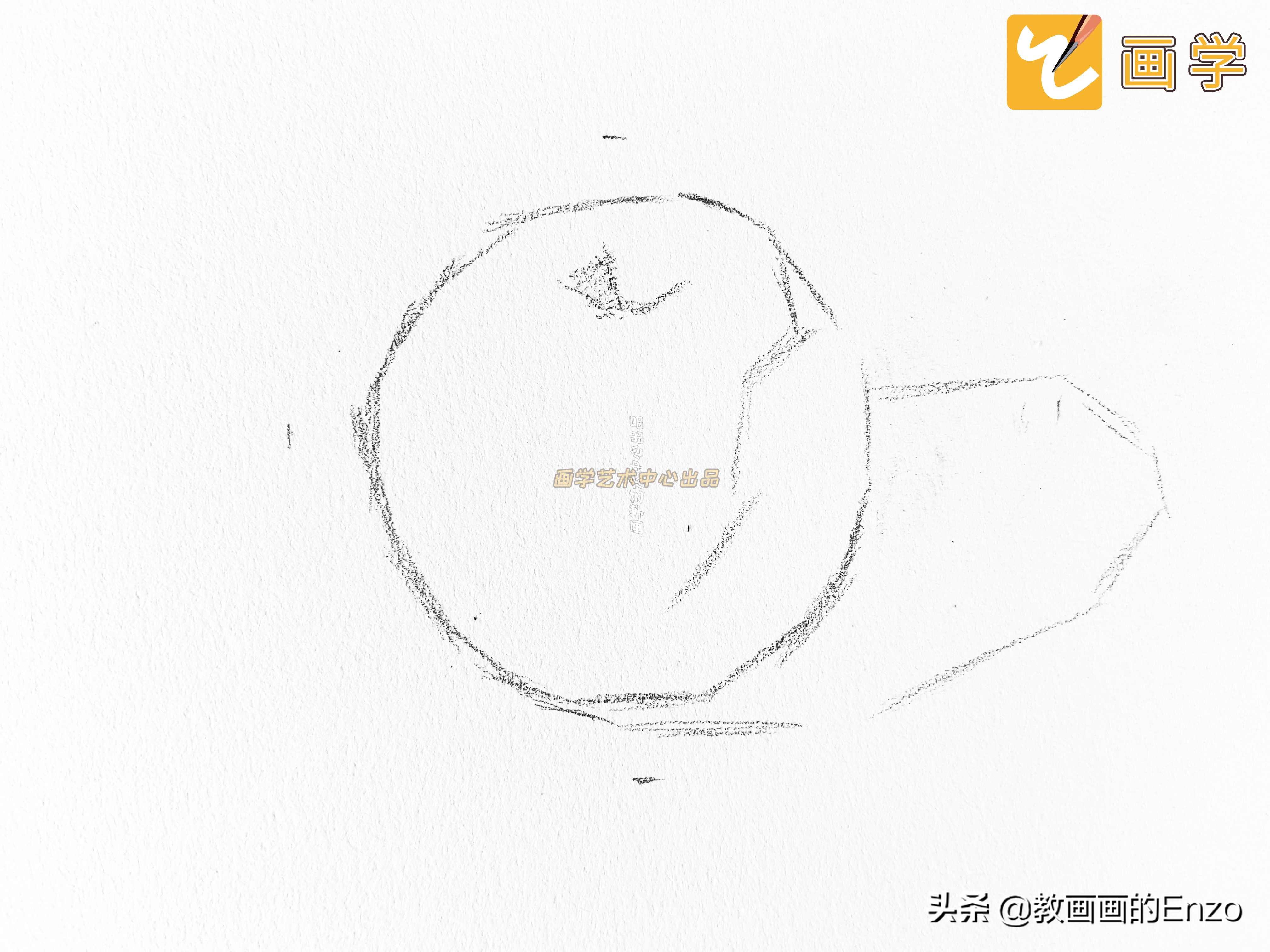 学画画3-6岁画苹果,初学画画画苹果