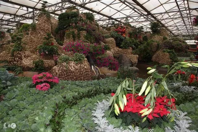 深圳十大农产品批发市场,中国十大农产品批发市场排名表