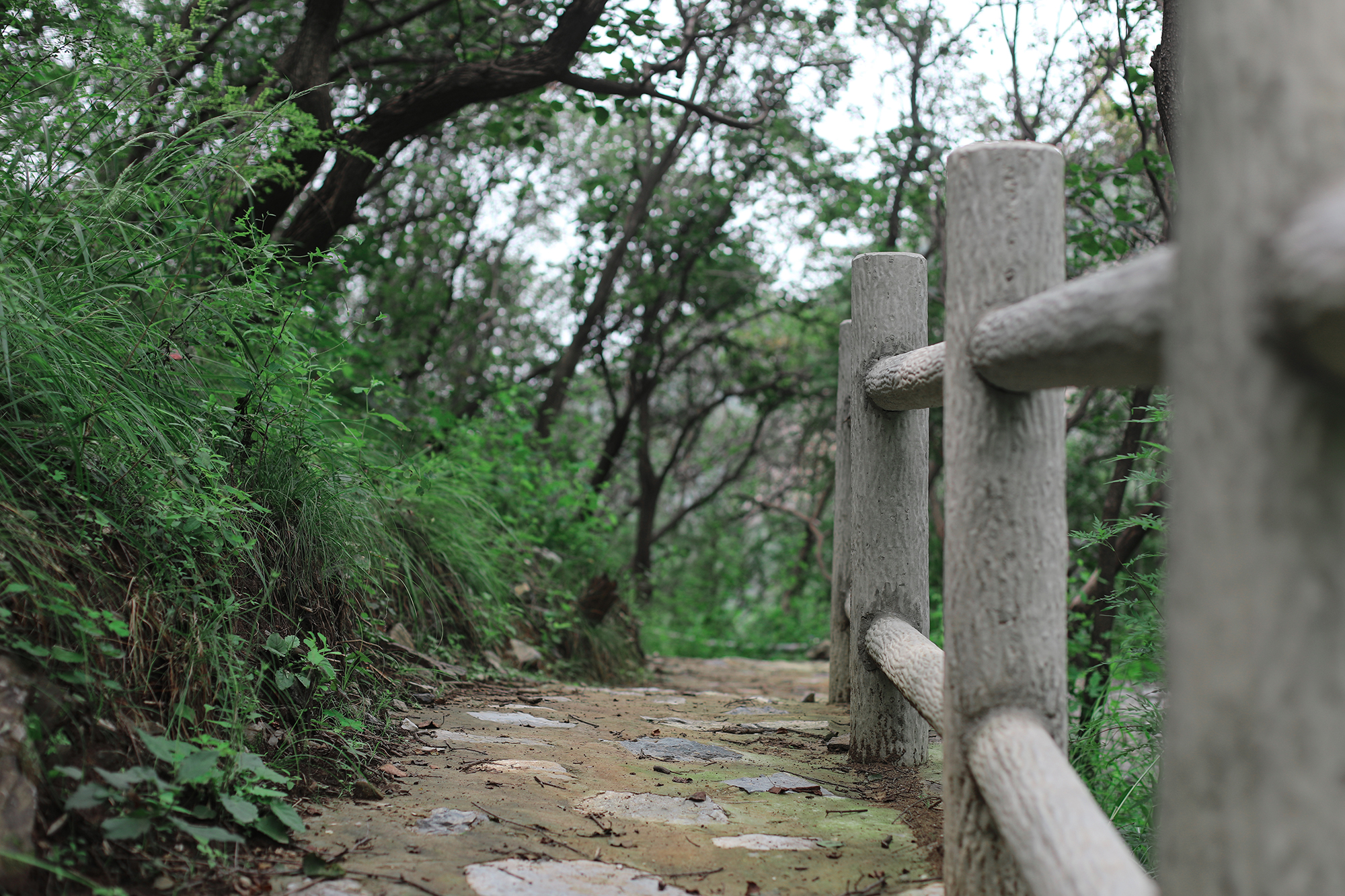 京郊房山登山路线,房山东港登山步道