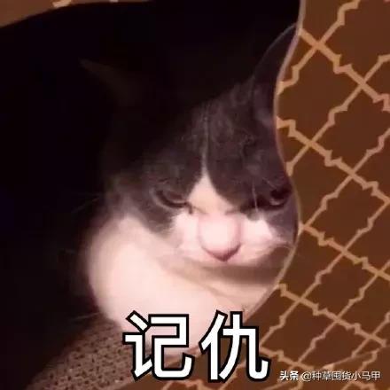 专柜出现假货新闻,专柜售假是真的吗