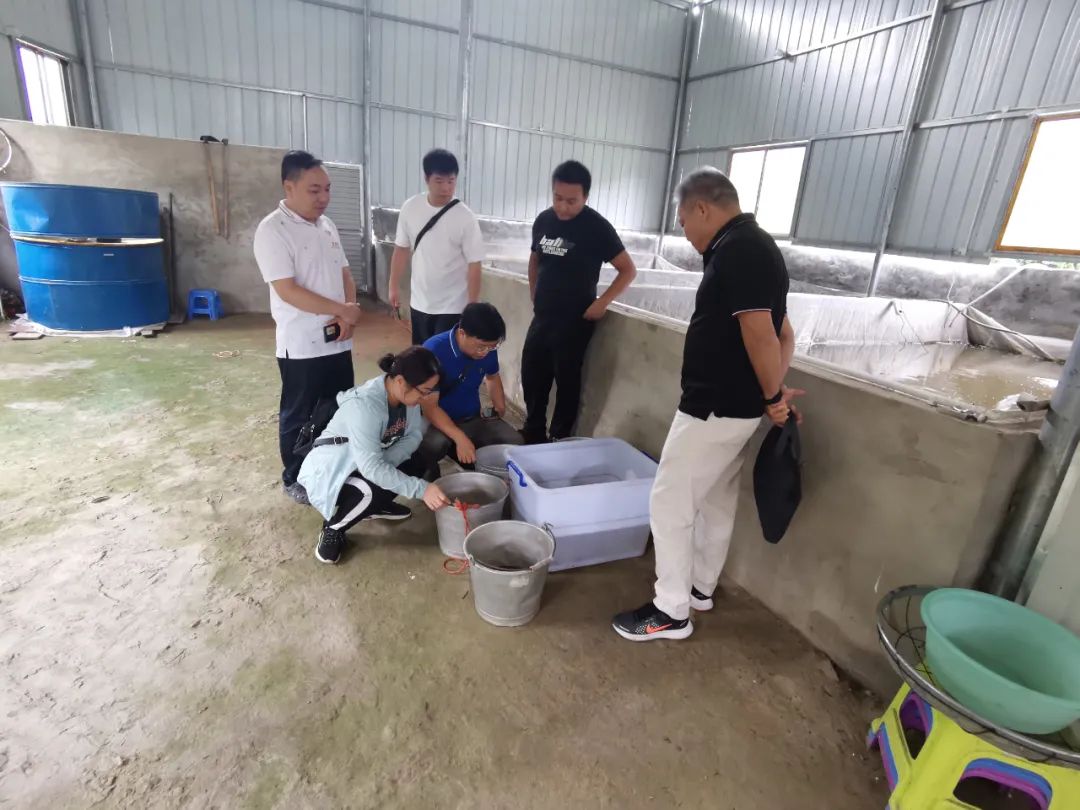 广西水产养殖技术推广平台,生态渔业新模式