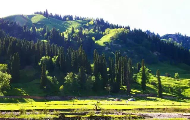 国家认证！*疆新**又一城市成为“中国天然氧吧”，大自然“空调房”就在……