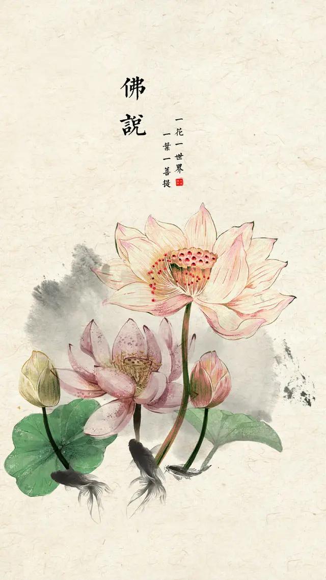 一叶一世界一花一菩提手机壁纸,一花一心一辈子壁纸