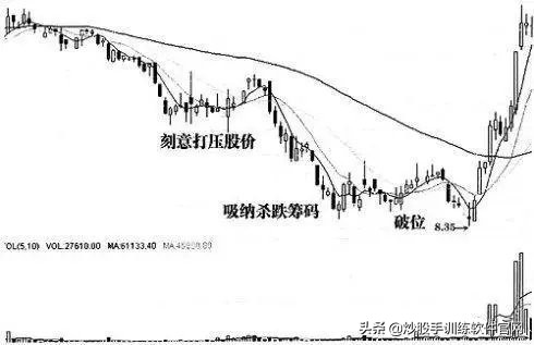 庄股操盘一只股票全过程,庄股运作