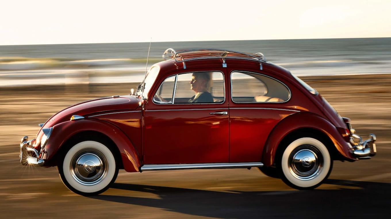 甲壳虫安妮视频,甲壳虫安妮后续