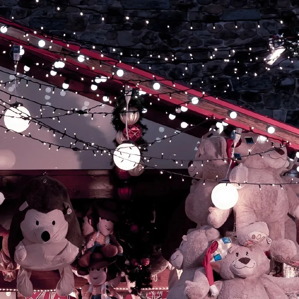 欣欣向荣高干强取豪夺,作者欣欣向荣