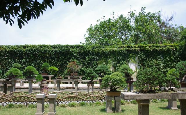 苏州拙政园园林借景,苏州拙政园唯美意境