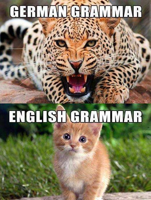 我是如何用六个月将德语学到流利的（干货）