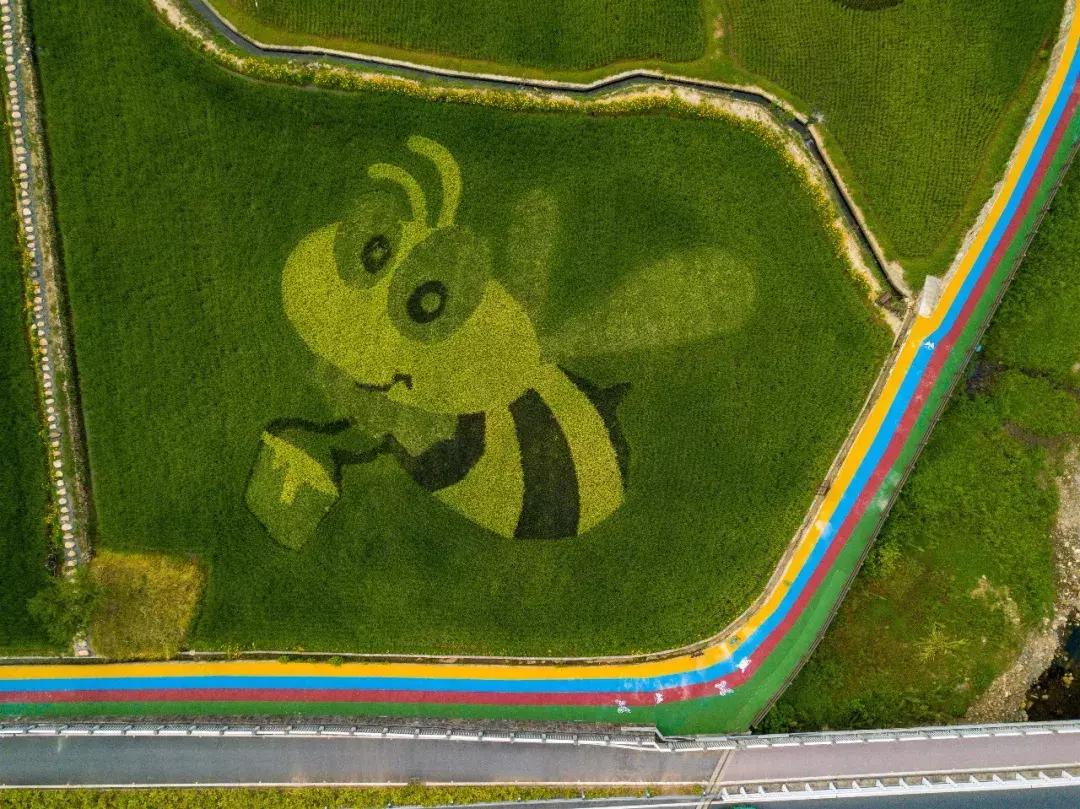 钱塘江出现巨幅画作,钱塘江大潮图片绘画