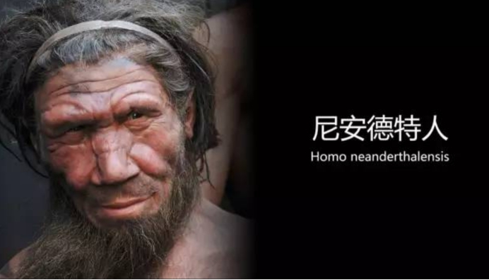 真的有6亿年前的人类化石吗,史前文明的所有遗迹