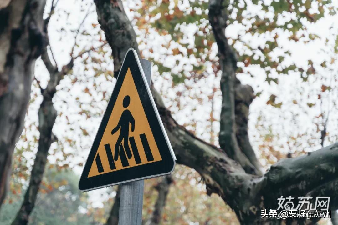 苏州有一条南京路,苏州古城区步行路线