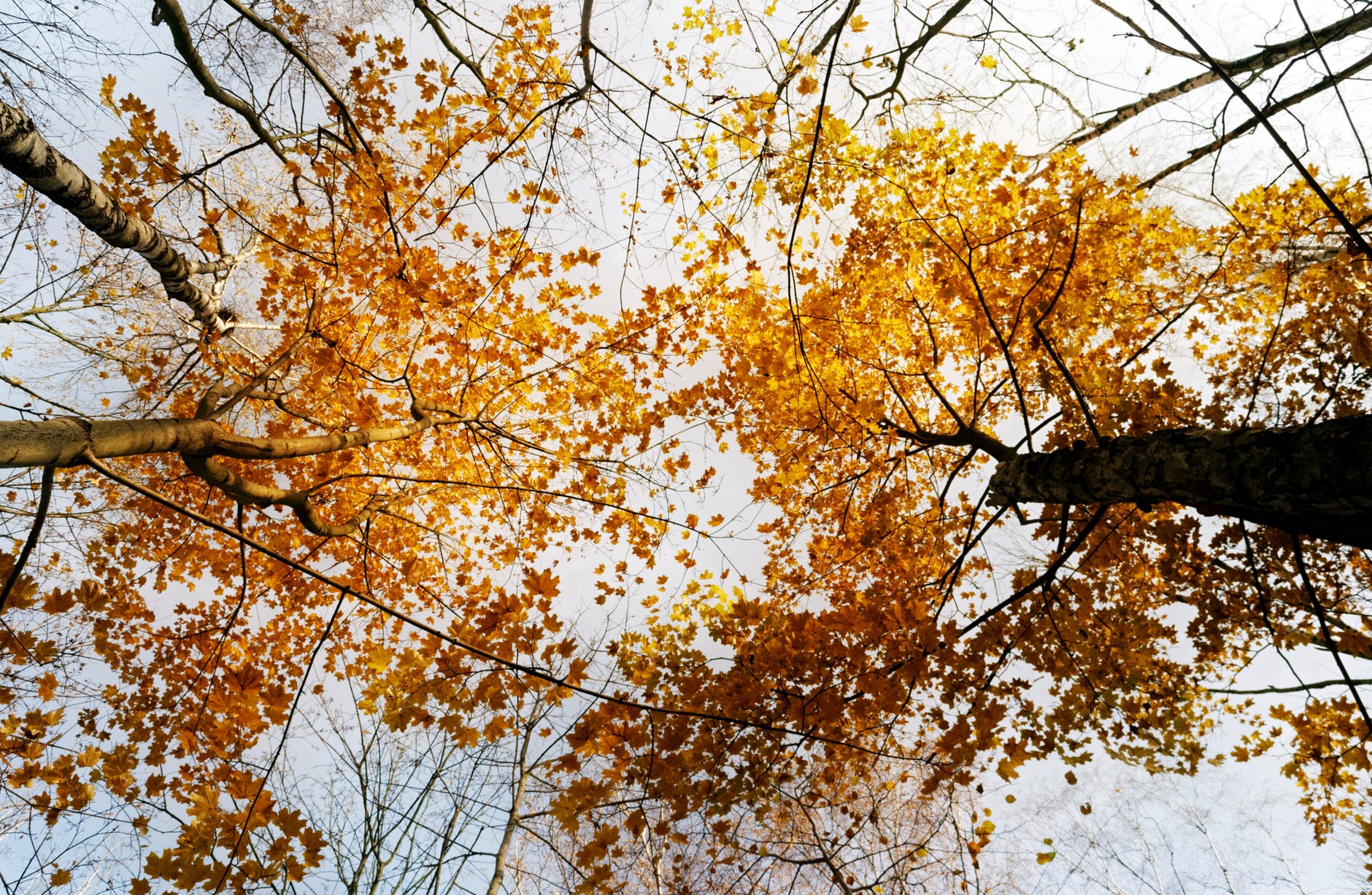 给迷失自我的人的忠告,在迷茫的生活中是如何走出来的