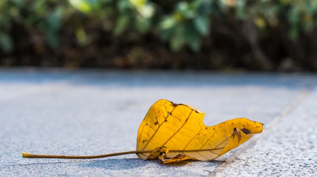 长期用不粘锅对身体有害吗,长期用不粘锅对身体有什么危害
