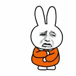 浪漫冰雪游玩攻略,浪漫冰雪夜场