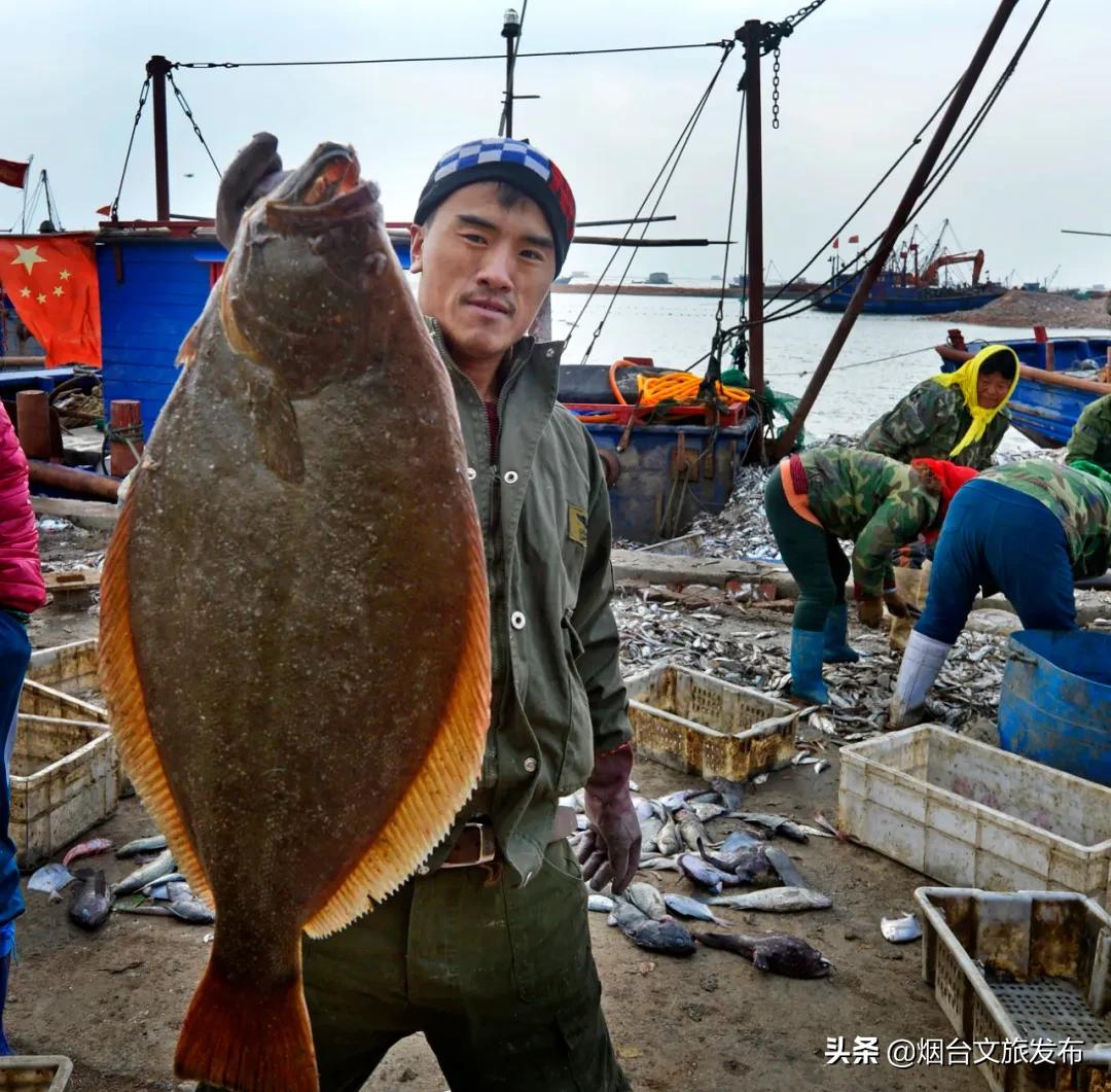 蓬莱美味,冬天蓬莱好吃的