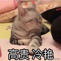 港股打新入门技巧,港股打新最好的攻略