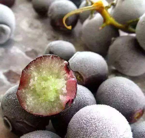 一听到菠萝就酸,盘点那些能让你疯狂流口水的水果