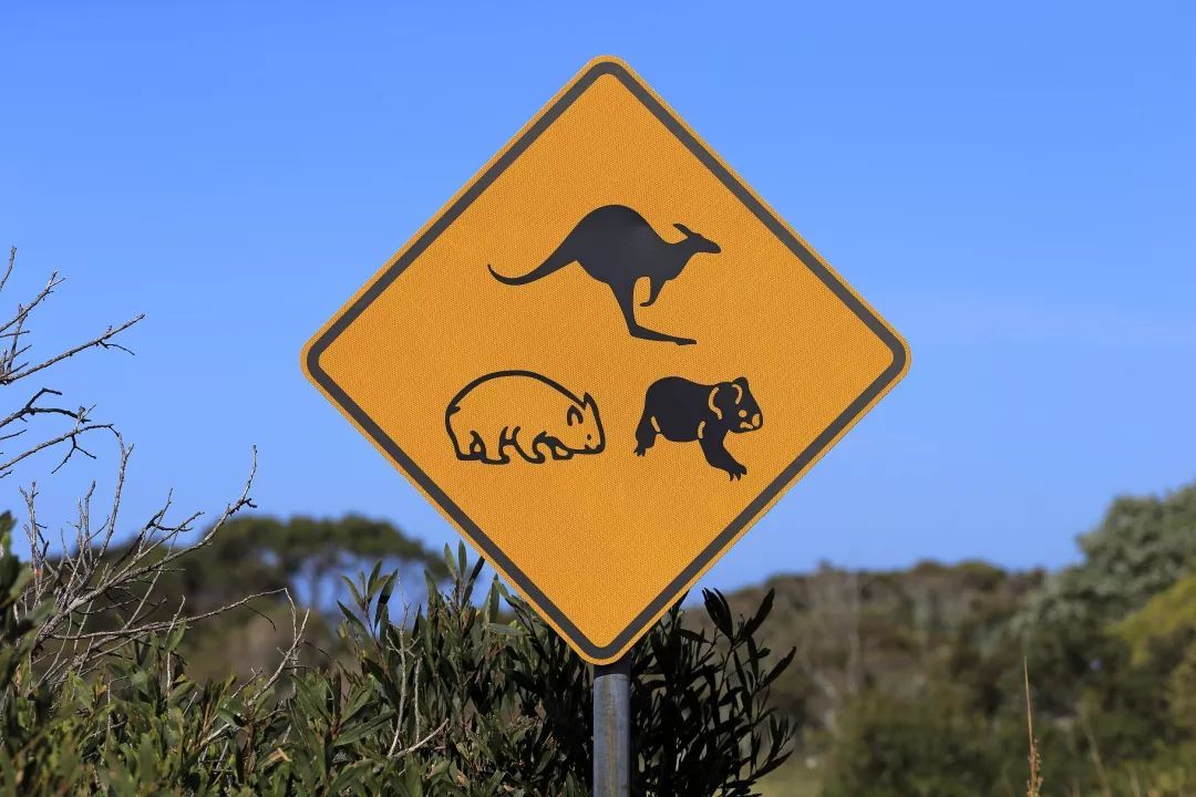 去澳洲后才知道澳洲的医疗服务,来澳洲才知道的大实话