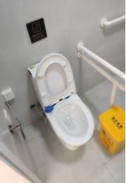 我的肛瘘自愈之旅,我的肛瘘挂线4天就掉了正常吗