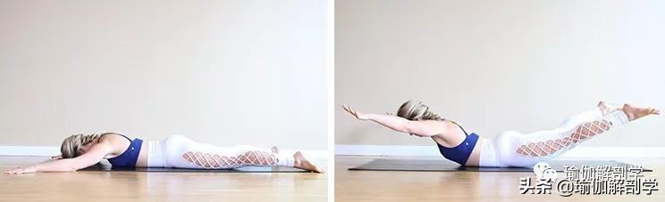 不伤腰瑜伽初级教程在家练,侧腰部练习的瑜伽初学者