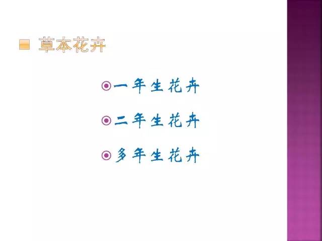 花卉大全500种观叶植物名称,1332种常见花卉植物图谱