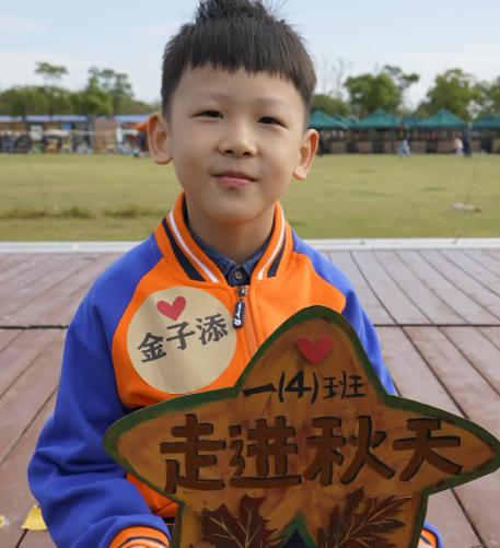 上海各区排名前十名小学,上海16区小学梯队排名榜